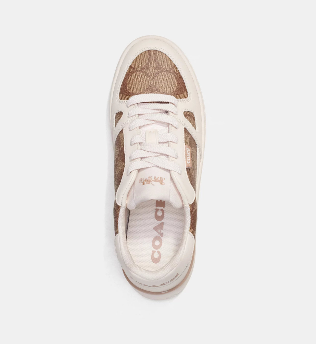 Tenis Coach Court